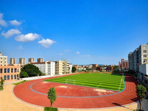 晋江市教育局关于同意晋江市罗山中学 2020年公开遴选新任教师的通告
