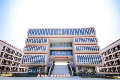 报名攻略来了 晋江子江 拔萃双语2021年秋季初中招生